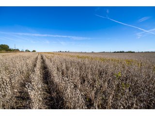 Tracts 3-5 - HOMESITE & DEVELOPMENT LAND AUCTION - 160+/- ACRES OFFERED IN 10 DESIRABLE TRACTS - FROM 10 TO 70+/- ACRES