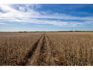 Property photo 24 - HOMESITE & DEVELOPMENT LAND AUCTION - 160+/- ACRES OFFERED IN 10 DESIRABLE TRACTS - FROM 10 TO 70+/- ACRES