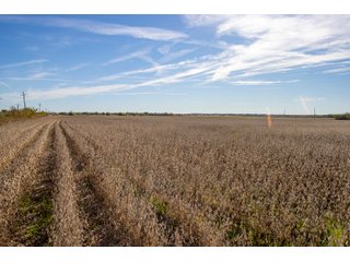 Property photo 26 - HOMESITE & DEVELOPMENT LAND AUCTION - 160+/- ACRES OFFERED IN 10 DESIRABLE TRACTS - FROM 10 TO 70+/- ACRES