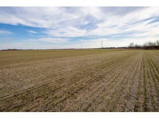 Property photo 29 - HOMESITE & DEVELOPMENT LAND AUCTION - 160+/- ACRES OFFERED IN 10 DESIRABLE TRACTS - FROM 10 TO 70+/- ACRES