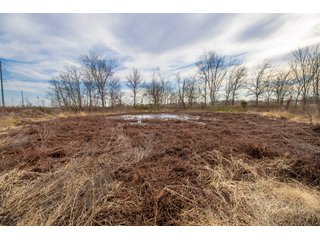 Tract 10 - HOMESITE & DEVELOPMENT LAND AUCTION - 160+/- ACRES OFFERED IN 10 DESIRABLE TRACTS - FROM 10 TO 70+/- ACRES
