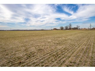 Property photo 32 - HOMESITE & DEVELOPMENT LAND AUCTION - 160+/- ACRES OFFERED IN 10 DESIRABLE TRACTS - FROM 10 TO 70+/- ACRES