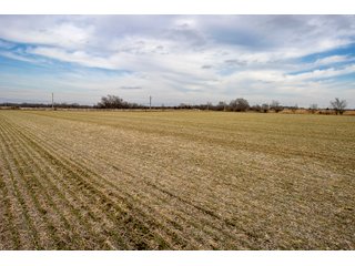 Property photo 35 - HOMESITE & DEVELOPMENT LAND AUCTION - 160+/- ACRES OFFERED IN 10 DESIRABLE TRACTS - FROM 10 TO 70+/- ACRES