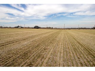 Tract 4 - HOMESITE & DEVELOPMENT LAND AUCTION - 160+/- ACRES OFFERED IN 10 DESIRABLE TRACTS - FROM 10 TO 70+/- ACRES