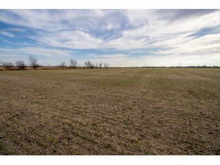 Property photo 37 - HOMESITE & DEVELOPMENT LAND AUCTION - 160+/- ACRES OFFERED IN 10 DESIRABLE TRACTS - FROM 10 TO 70+/- ACRES