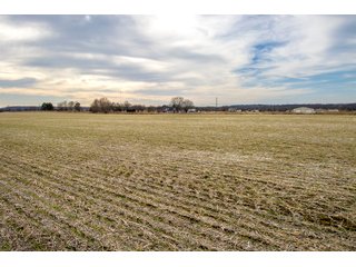 Tract 7 - HOMESITE & DEVELOPMENT LAND AUCTION - 160+/- ACRES OFFERED IN 10 DESIRABLE TRACTS - FROM 10 TO 70+/- ACRES