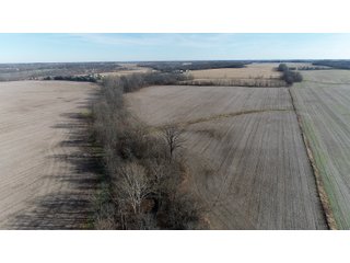 Property photo 11 - HOMESITE & DEVELOPMENT LAND AUCTION - 160+/- ACRES OFFERED IN 10 DESIRABLE TRACTS - FROM 10 TO 70+/- ACRES