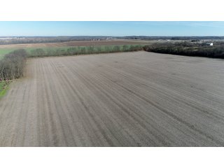 Property photo 17 - HOMESITE & DEVELOPMENT LAND AUCTION - 160+/- ACRES OFFERED IN 10 DESIRABLE TRACTS - FROM 10 TO 70+/- ACRES
