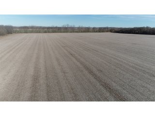 Property photo 21 - HOMESITE & DEVELOPMENT LAND AUCTION - 160+/- ACRES OFFERED IN 10 DESIRABLE TRACTS - FROM 10 TO 70+/- ACRES