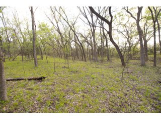 Property photo 1 - HOMESITE & DEVELOPMENT LAND AUCTION - 15+/- ACRES OFFERED IN 3 DESIRABLE TRACTS