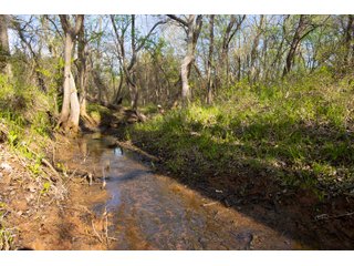 Property photo 2 - HOMESITE & DEVELOPMENT LAND AUCTION - 15+/- ACRES OFFERED IN 3 DESIRABLE TRACTS