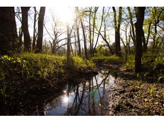 Property photo 3 - HOMESITE & DEVELOPMENT LAND AUCTION - 15+/- ACRES OFFERED IN 3 DESIRABLE TRACTS