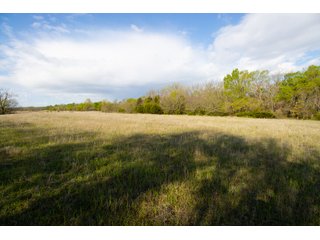 Property photo 9 - HOMESITE & DEVELOPMENT LAND AUCTION - 15+/- ACRES OFFERED IN 3 DESIRABLE TRACTS