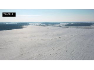 Property photo 6 - IMPORTANT LAND AUCTION - 151+/- ACRES OFFERED IN 5 TRACTS - DEKALB COUNTY, IN