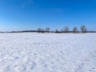 Property photo 15 - IMPORTANT LAND AUCTION - 151+/- ACRES OFFERED IN 5 TRACTS - DEKALB COUNTY, IN