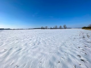 Property photo 17 - IMPORTANT LAND AUCTION - 151+/- ACRES OFFERED IN 5 TRACTS - DEKALB COUNTY, IN