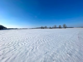 Property photo 16 - IMPORTANT LAND AUCTION - 151+/- ACRES OFFERED IN 5 TRACTS - DEKALB COUNTY, IN