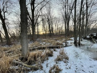 Property photo 57 - REAL ESTATE AUCTION 84.5+/- ACRES OFFERED IN 6 TRACTS OR IN COMBINATION IN DEKALB COUNTY, IN