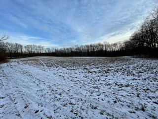 Property photo 51 - REAL ESTATE AUCTION 84.5+/- ACRES OFFERED IN 6 TRACTS OR IN COMBINATION IN DEKALB COUNTY, IN