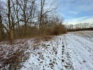 Property photo 50 - REAL ESTATE AUCTION 84.5+/- ACRES OFFERED IN 6 TRACTS OR IN COMBINATION IN DEKALB COUNTY, IN