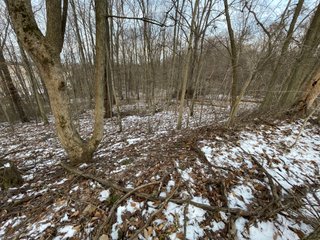 Property photo 49 - REAL ESTATE AUCTION 84.5+/- ACRES OFFERED IN 6 TRACTS OR IN COMBINATION IN DEKALB COUNTY, IN