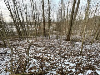 Property photo 47 - REAL ESTATE AUCTION 84.5+/- ACRES OFFERED IN 6 TRACTS OR IN COMBINATION IN DEKALB COUNTY, IN