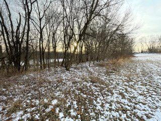 Property photo 45 - REAL ESTATE AUCTION 84.5+/- ACRES OFFERED IN 6 TRACTS OR IN COMBINATION IN DEKALB COUNTY, IN