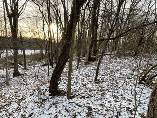 Property photo 43 - REAL ESTATE AUCTION 84.5+/- ACRES OFFERED IN 6 TRACTS OR IN COMBINATION IN DEKALB COUNTY, IN