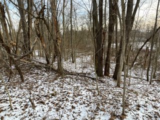 Property photo 42 - REAL ESTATE AUCTION 84.5+/- ACRES OFFERED IN 6 TRACTS OR IN COMBINATION IN DEKALB COUNTY, IN