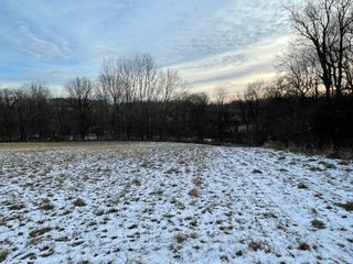 Property photo 41 - REAL ESTATE AUCTION 84.5+/- ACRES OFFERED IN 6 TRACTS OR IN COMBINATION IN DEKALB COUNTY, IN