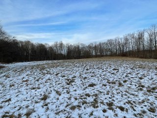 Property photo 86 - REAL ESTATE AUCTION 84.5+/- ACRES OFFERED IN 6 TRACTS OR IN COMBINATION IN DEKALB COUNTY, IN