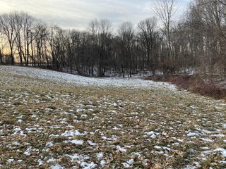 Property photo 85 - REAL ESTATE AUCTION 84.5+/- ACRES OFFERED IN 6 TRACTS OR IN COMBINATION IN DEKALB COUNTY, IN
