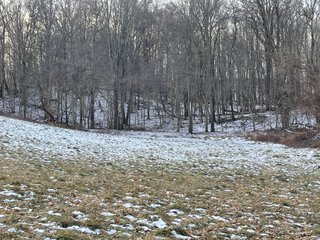 Property photo 84 - REAL ESTATE AUCTION 84.5+/- ACRES OFFERED IN 6 TRACTS OR IN COMBINATION IN DEKALB COUNTY, IN