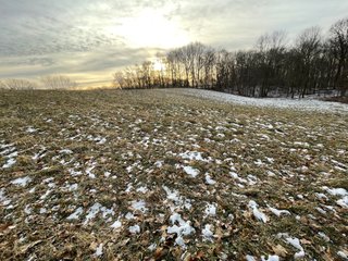 Property photo 83 - REAL ESTATE AUCTION 84.5+/- ACRES OFFERED IN 6 TRACTS OR IN COMBINATION IN DEKALB COUNTY, IN