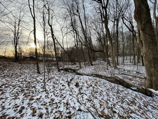 Property photo 82 - REAL ESTATE AUCTION 84.5+/- ACRES OFFERED IN 6 TRACTS OR IN COMBINATION IN DEKALB COUNTY, IN