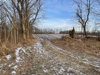 Property photo 81 - REAL ESTATE AUCTION 84.5+/- ACRES OFFERED IN 6 TRACTS OR IN COMBINATION IN DEKALB COUNTY, IN