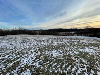 Property photo 79 - REAL ESTATE AUCTION 84.5+/- ACRES OFFERED IN 6 TRACTS OR IN COMBINATION IN DEKALB COUNTY, IN
