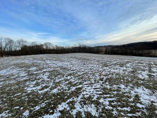Property photo 78 - REAL ESTATE AUCTION 84.5+/- ACRES OFFERED IN 6 TRACTS OR IN COMBINATION IN DEKALB COUNTY, IN