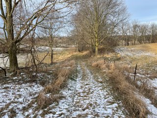 Property photo 65 - REAL ESTATE AUCTION 84.5+/- ACRES OFFERED IN 6 TRACTS OR IN COMBINATION IN DEKALB COUNTY, IN