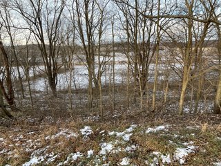 Property photo 16 - REAL ESTATE AUCTION 84.5+/- ACRES OFFERED IN 6 TRACTS OR IN COMBINATION IN DEKALB COUNTY, IN