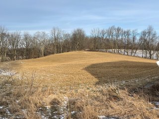 Property photo 11 - REAL ESTATE AUCTION 84.5+/- ACRES OFFERED IN 6 TRACTS OR IN COMBINATION IN DEKALB COUNTY, IN