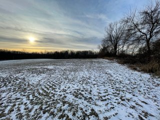 Property photo 8 - REAL ESTATE AUCTION 84.5+/- ACRES OFFERED IN 6 TRACTS OR IN COMBINATION IN DEKALB COUNTY, IN