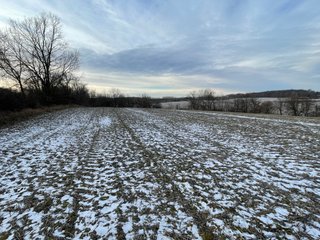 Property photo 38 - REAL ESTATE AUCTION 84.5+/- ACRES OFFERED IN 6 TRACTS OR IN COMBINATION IN DEKALB COUNTY, IN