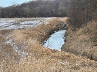Property photo 34 - REAL ESTATE AUCTION 84.5+/- ACRES OFFERED IN 6 TRACTS OR IN COMBINATION IN DEKALB COUNTY, IN