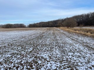 Property photo 28 - REAL ESTATE AUCTION 84.5+/- ACRES OFFERED IN 6 TRACTS OR IN COMBINATION IN DEKALB COUNTY, IN