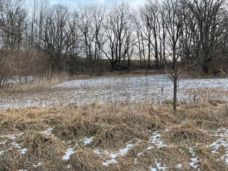 Property photo 26 - REAL ESTATE AUCTION 84.5+/- ACRES OFFERED IN 6 TRACTS OR IN COMBINATION IN DEKALB COUNTY, IN