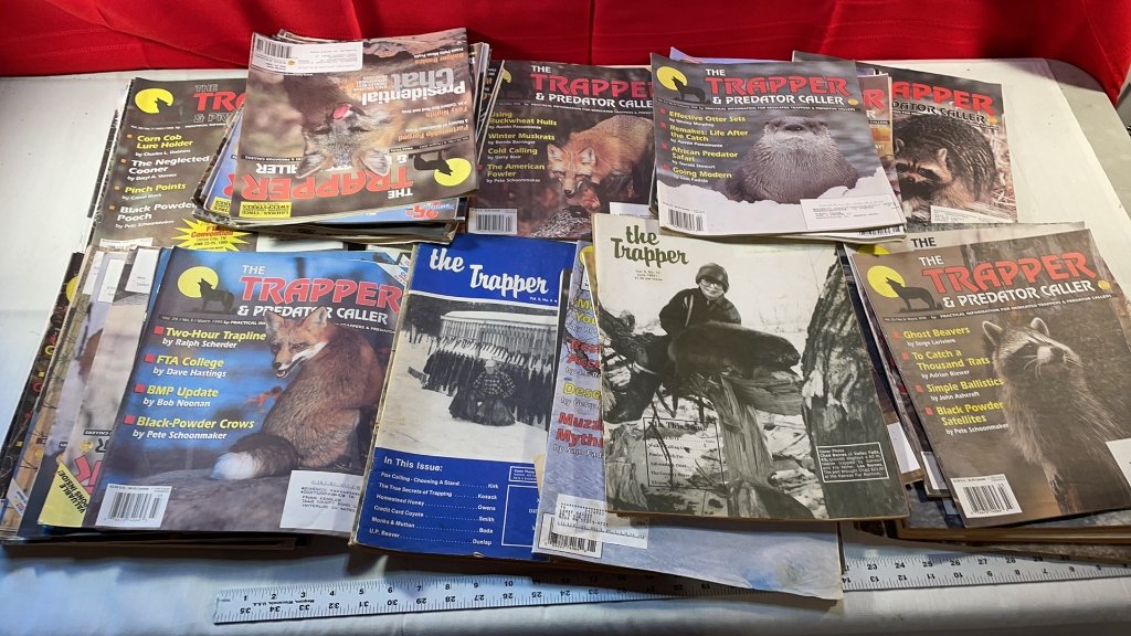 Property photo 74 - TIMED ONLINE ONLY PERSONAL PROPERTY AUCTION IN DEKALB COUNTY, IN