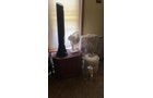 Property photo 264 - TIMED ONLINE ONLY PERSONAL PROPERTY AUCTION IN DEKALB COUNTY, IN