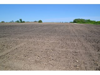 Property photo 13 - LAND AUCTION - 90+/- ACRES IN 1 TRACT IN NEWTON COUNTY, INDIANA