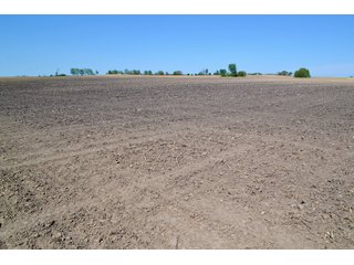 Property photo 12 - LAND AUCTION - 90+/- ACRES IN 1 TRACT IN NEWTON COUNTY, INDIANA